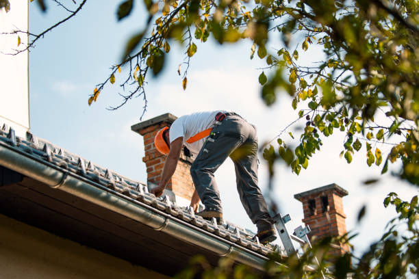 Best Roof Leak Repair  in Belle Plaine, MN