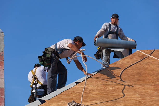 Best Roof Maintenance Services  in Belle Plaine, MN