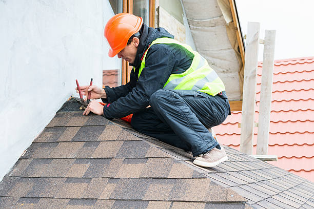 Best Flat Roof Repair Services  in Belle Plaine, MN