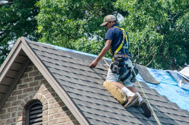 Best Emergency Roof Repair  in Belle Plaine, MN